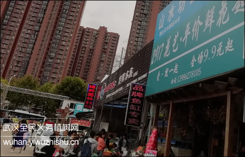 武汉南湖花鸟市场(南湖花木城)