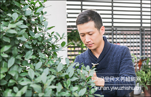 2020 花园家庭 2020 花园家庭