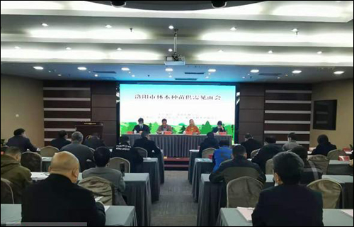 洛阳市可供今冬明春国土绿化使用的苗木2.2亿株种类齐全-武汉全民义务植树网 洛阳市可供今冬明春国土绿化使用的苗木2.2亿株种类齐全-武汉全民义务植树网