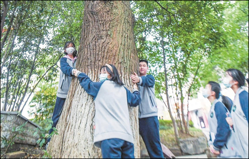 动植物保护深入人心 武昌这所中学学生自发保护百年老树-武汉全民义务植树网 动植物保护深入人心 武昌这所中学学生自发保护百年老树-武汉全民义务植树网