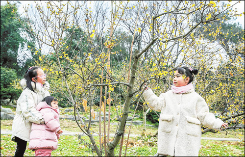 (湖北日报全媒记者 梅涛 摄)