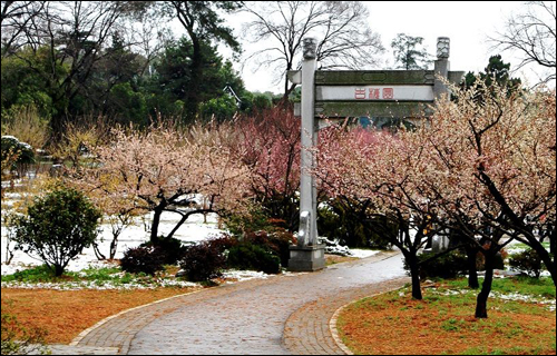 梅园赏花路线来啦,带你看遍梅园十景 梅园赏花路线来啦,带你看遍梅园十景