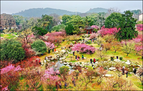 梅园赏花路线来啦,带你看遍梅园十景 梅园赏花路线来啦,带你看遍梅园十景