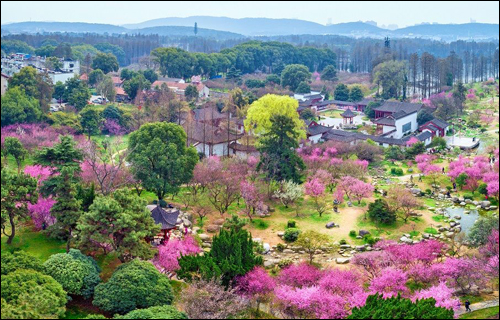 梅园赏花路线来啦,带你看遍梅园十景 梅园赏花路线来啦,带你看遍梅园十景