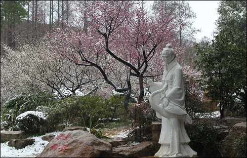 梅园赏花路线来啦,带你看遍梅园十景 梅园赏花路线来啦,带你看遍梅园十景