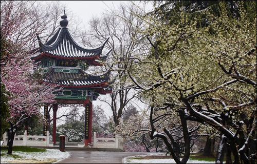 梅园赏花路线来啦,带你看遍梅园十景 梅园赏花路线来啦,带你看遍梅园十景
