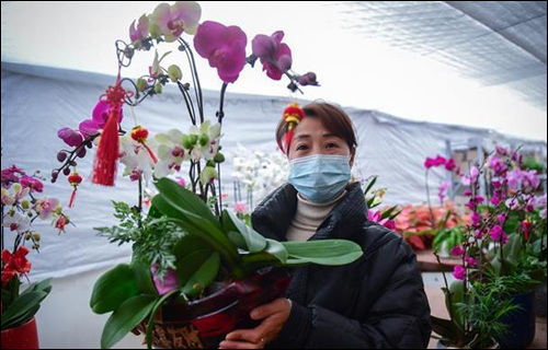 武汉花博园 邀市民买花过大年 武汉花博园 邀市民买花过大年