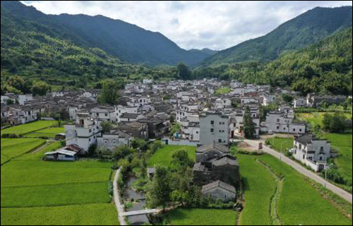 江西完成造林114.7万亩 修复湿地1095.7公顷 江西完成造林114.7万亩 修复湿地1095.7公顷