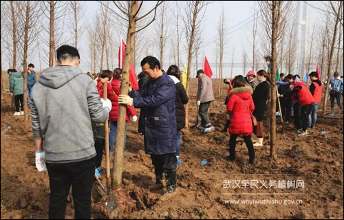 初春日渐暖,又到植树季,你准备好了吗?-武汉全民义务植树网 初春日渐暖,又到植树季,你准备好了吗?-武汉全民义务植树网