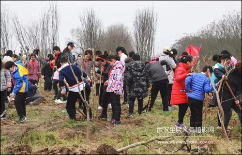 初春日渐暖,又到植树季,你准备好了吗?-武汉全民义务植树网 初春日渐暖,又到植树季,你准备好了吗?-武汉全民义务植树网