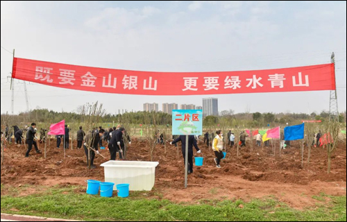 安陆市“四大家”领导参加义务植树活动 安陆市“四大家”领导参加义务植树活动