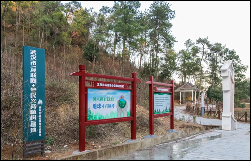 不负春光,来种一棵希望树,春季植树活动来啦!-武汉全民义务植树网 不负春光,来种一棵希望树,春季植树活动来啦!-武汉全民义务植树网
