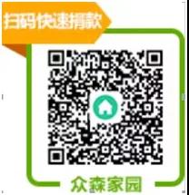 不负春光,来种一棵希望树,春季植树活动来啦!-武汉全民义务植树网 不负春光,来种一棵希望树,春季植树活动来啦!-武汉全民义务植树网