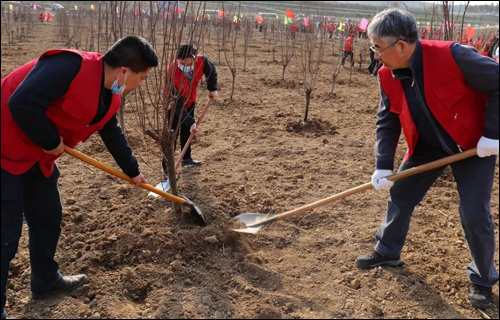 网上“云植树”,线下“兑现”了!河南义务植树网正式开通 网上“云植树”,线下“兑现”了!河南义务植树网正式开通