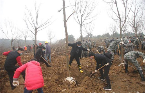 荆门2021年集中义务植树,1800株苗木将吐绿 荆门2021年集中义务植树,1800株苗木将吐绿