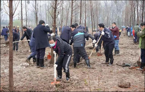 书记市长参加义务植树活动 书记市长参加义务植树活动