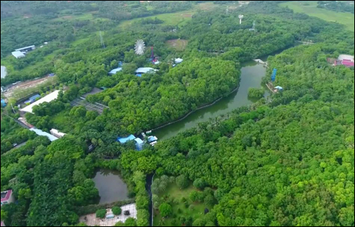 南方油城蝶变滨海绿城 南方油城蝶变滨海绿城