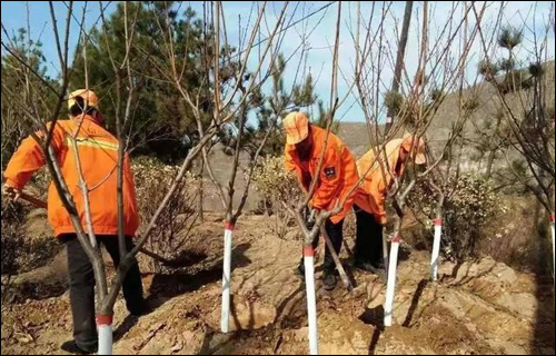 不负春日好时光 公路绿化养护忙 不负春日好时光 公路绿化养护忙